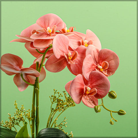 Artificial Orchid Flowers in Different Colors