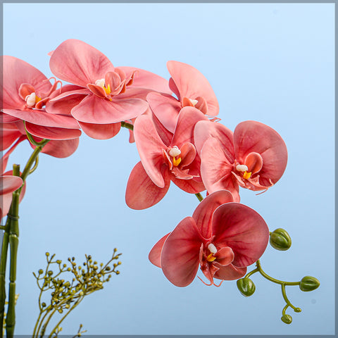 Artificial Orchid Flowers in Different Colors