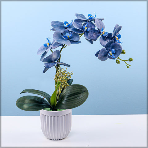 Artificial Orchid Flowers in Different Colors