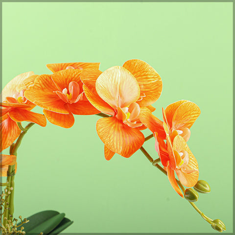 Artificial Orchid Flowers in Different Colors