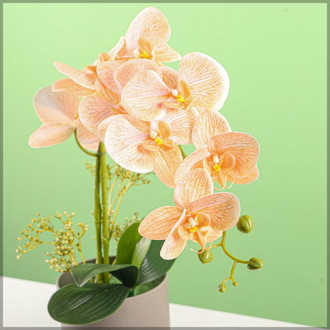 Artificial Orchid Flowers in Different Colors