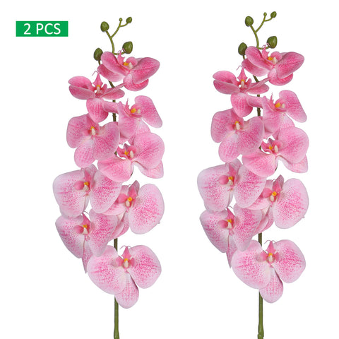 elegant floral arrangement