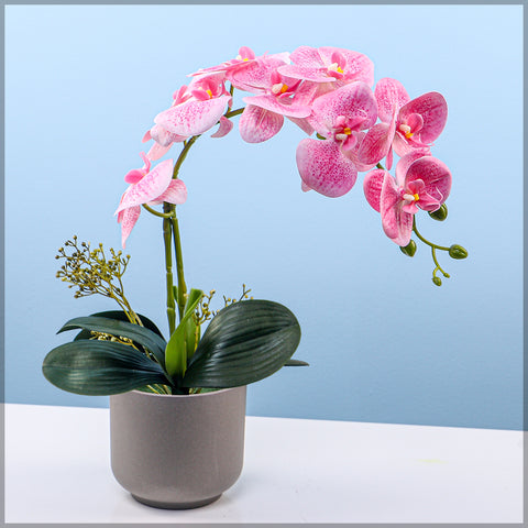 Artificial Orchid Flowers in Different Colors