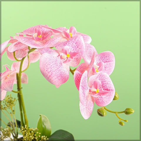 2PCS Artificial Orchid Flowers in Different Colors(without vase)