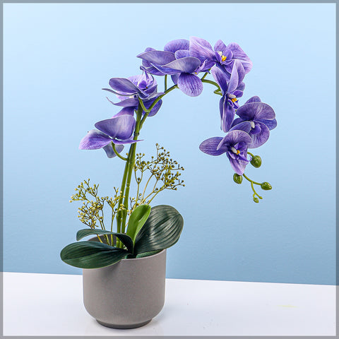 Artificial Orchid Flowers in Different Colors
