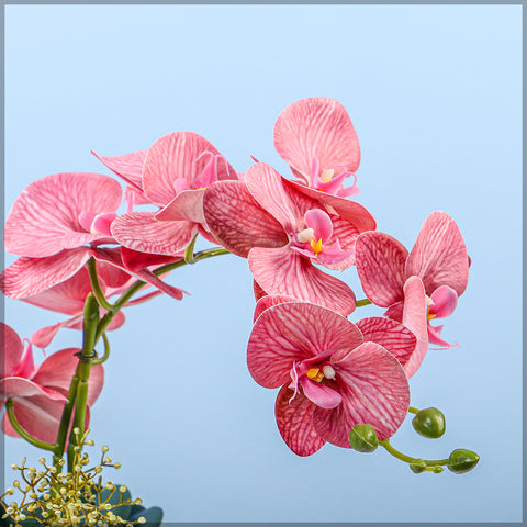 2PCS Artificial Orchid Flowers in Different Colors(without vase)