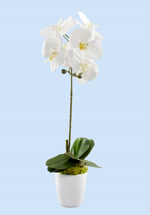 Artificial potted orchid