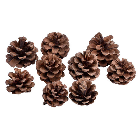 craft pinecones for wreath making