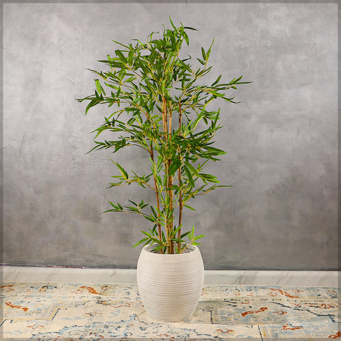 concrete egg planter for indoor plants