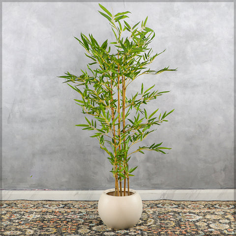Simple Round Plastic Planter