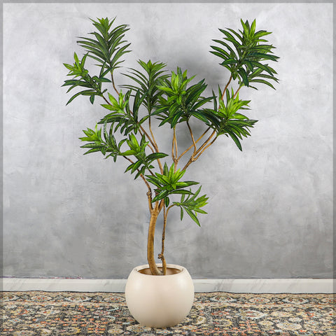 Simple Round Plastic Planter