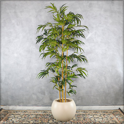 Simple Round Plastic Planter