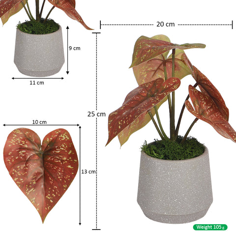 Faux Evergreen Small Plant in Pot