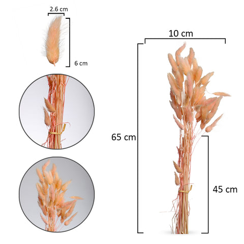 Preserved Dried Bunny Tail
