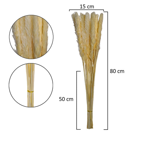 dried pampas grass decor