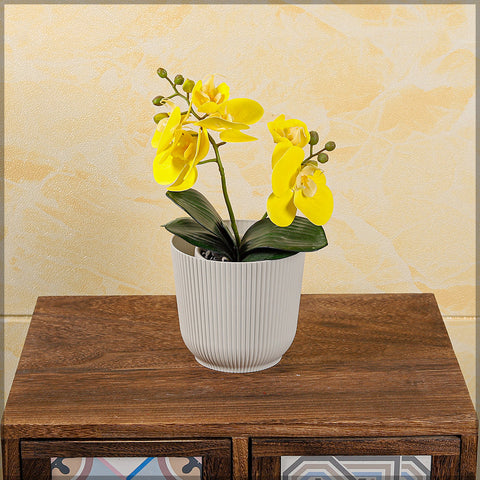indoor plastic planter