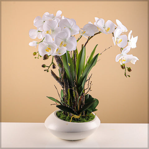 Round White Ceramic Vase for Arrangements