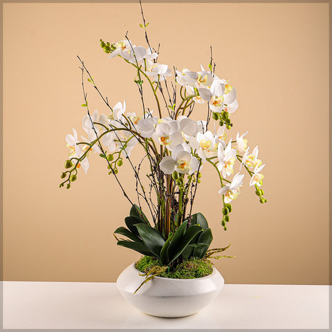 Round White Ceramic Vase for Arrangements