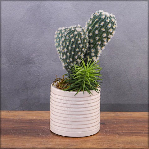 Small Ceramic Vases