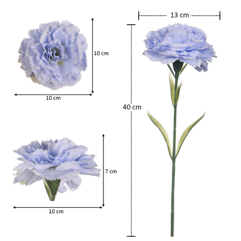 carnation flower
