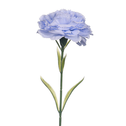 carnation stem