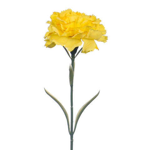 stem flower