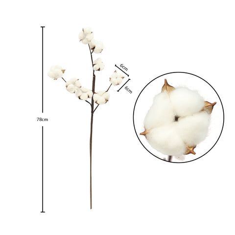white cotton branch