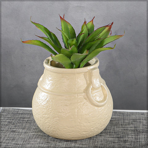 Cream Traditional Curvy Shaped Vase(Succulent not included)