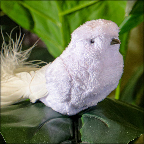 White bird wall art