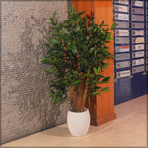 modern concrete planters