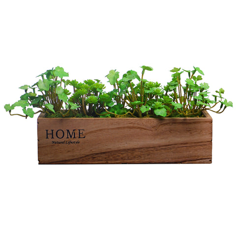 Wooden Pot Succulent