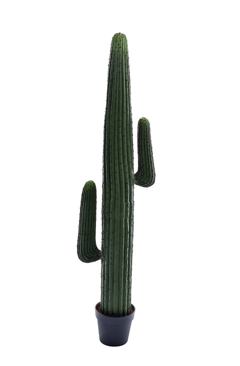 Artificial Cactus Plant
