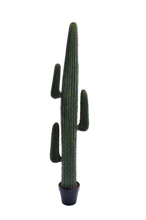 Nearly Natural Cactus