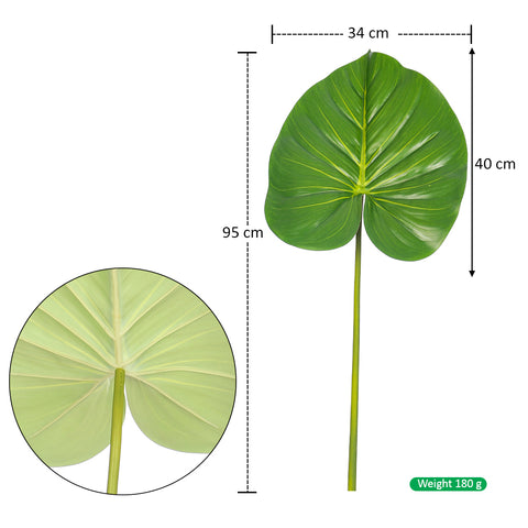 Taro leaf