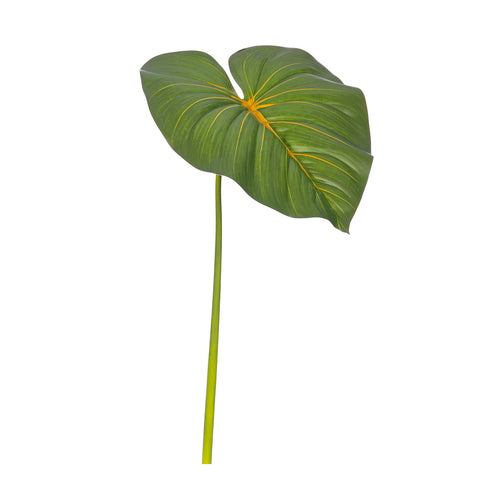 Fake taro leaves