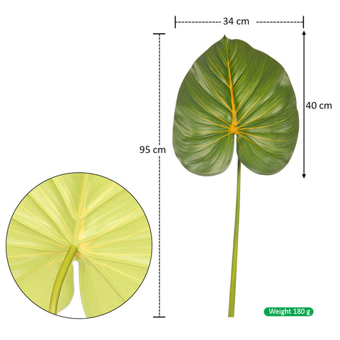 Taro plant foliage