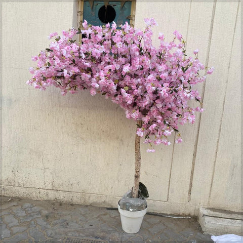Blooming Elegance: The Pink Blossom Tree in a Pot