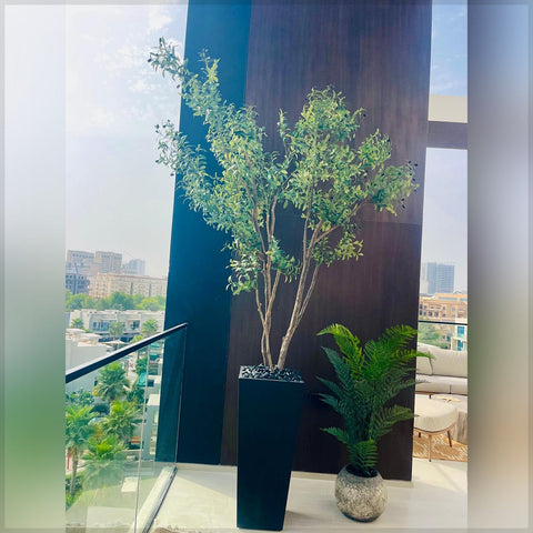 Cityscape Serenity with Indoor Plants
