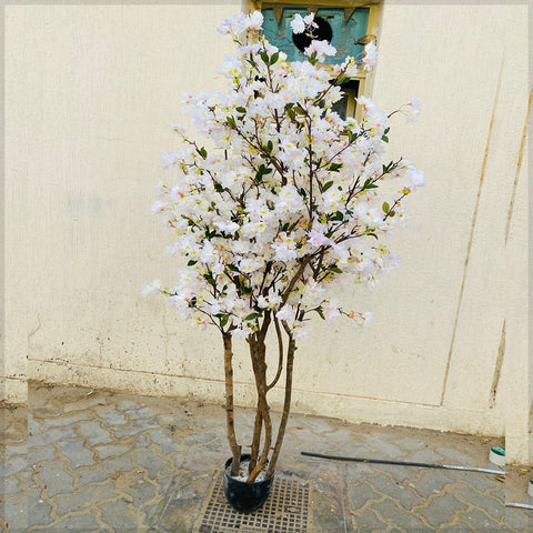 Elegant White Blossom Tree