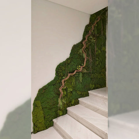 Living Wall Art A Touch of Nature Indoors