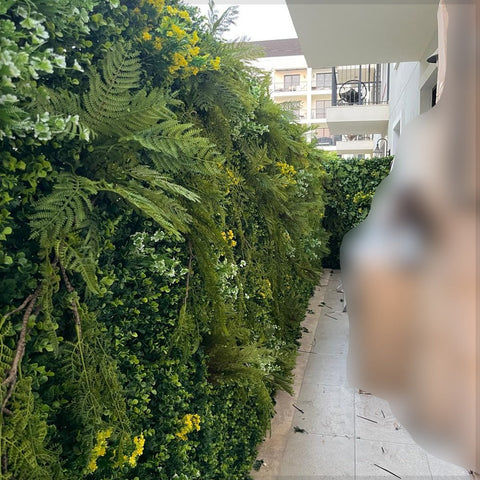 Lush Greenery and Peaceful Pathway