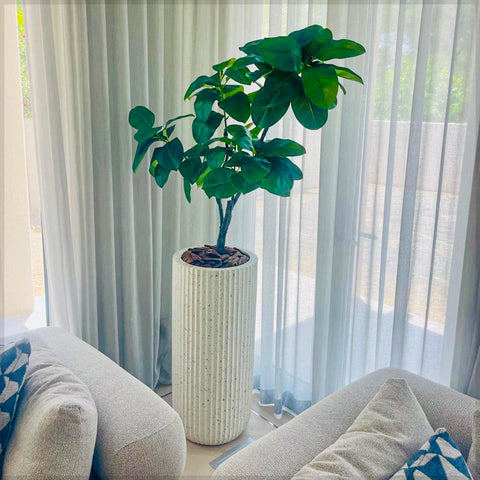 Lush Green Accent