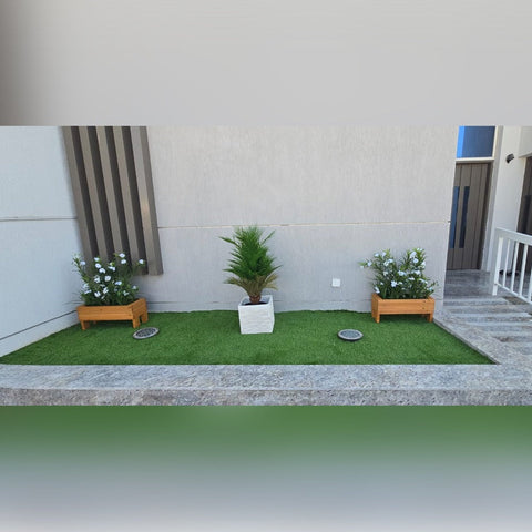 Minimalist Front Garden Display