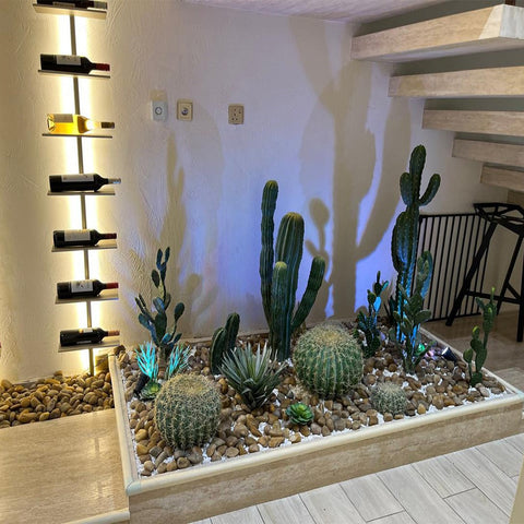 Modern Indoor Desert Garden