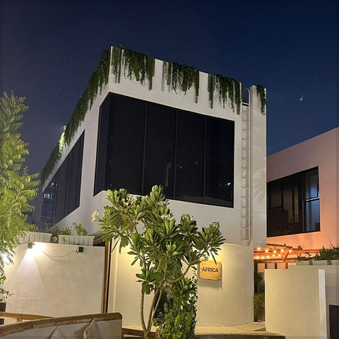 Modern Architecture with Natural Vibes