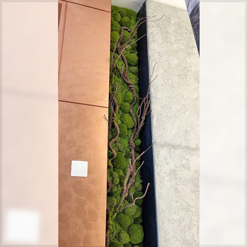 Modern Green Space Divider