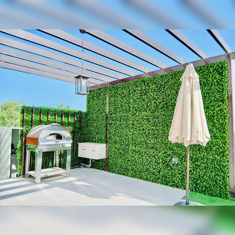 Modern Outdoor Oasis