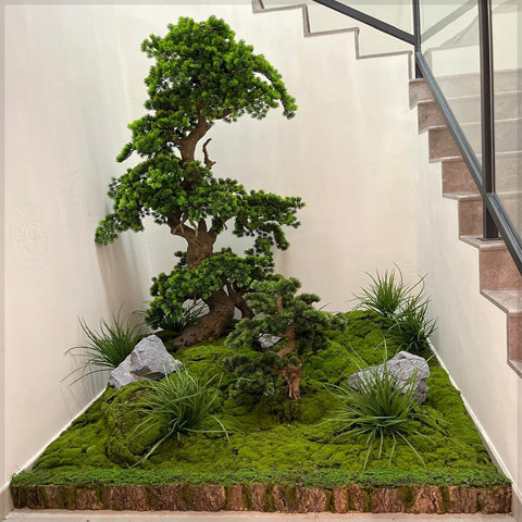 Serenity Corner: A Miniature Zen Garden