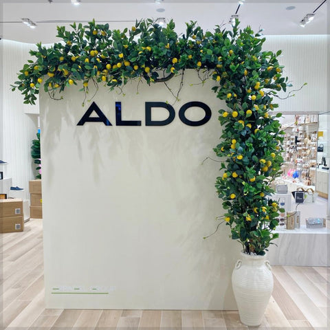 Elegant Retail Display