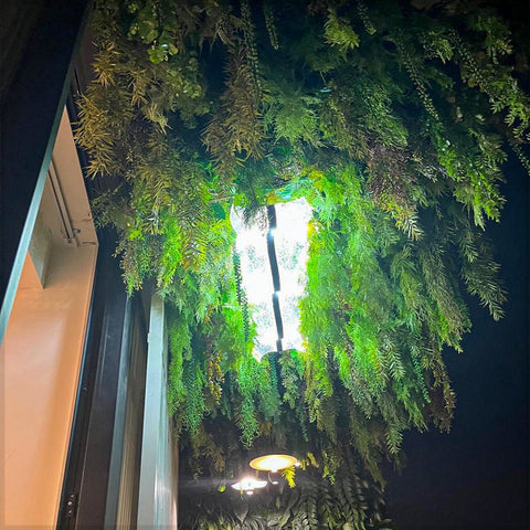 Lush Indoor Greenery with Skylight